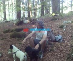 procurando mulher submissa