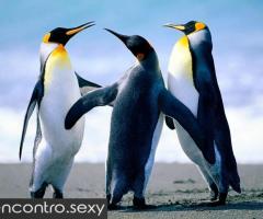 CASAL BI PRAZER GARANTIDO