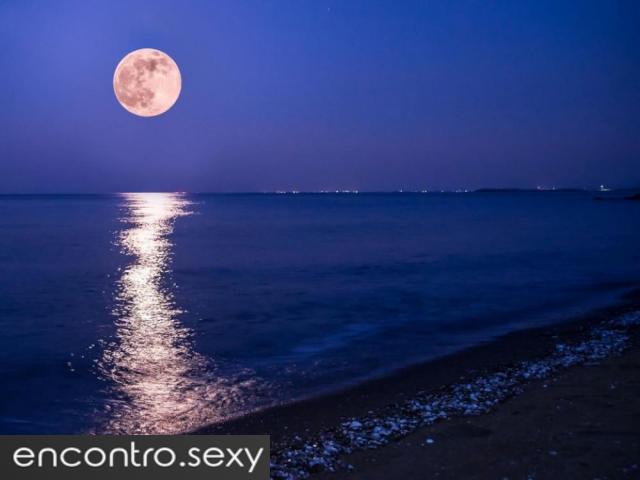 Acompanhante masculino