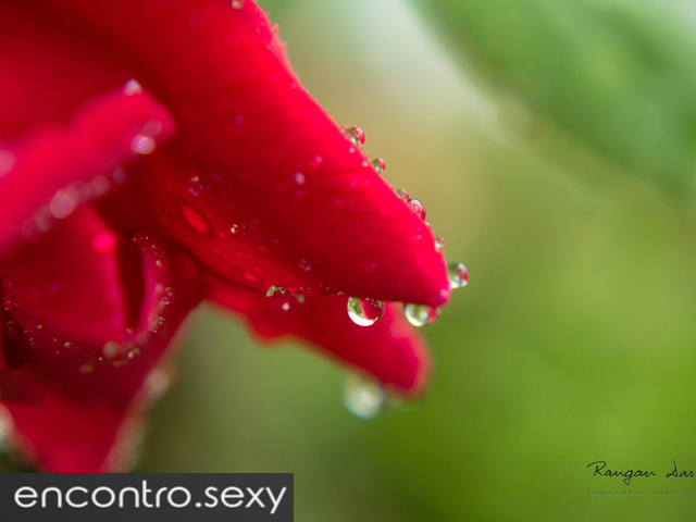 Olá, procuro modelos/atrizes fotográficas entre 18 e 40 anos