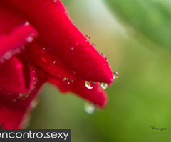 Olá, procuro modelos/atrizes fotográficas entre 18 e 40 anos