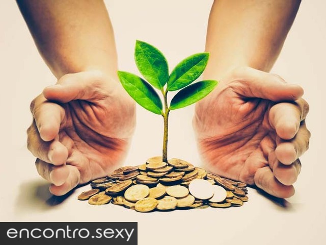 você precisa para realizar seus projetos??